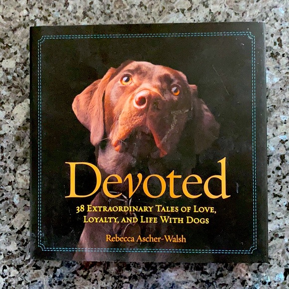 Dog Books—two of them are Dog Training Guides—and Two LED Reading Lamps - Picture 2 of 5